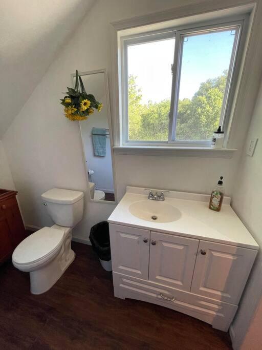 Eden Farm: Private Studio Minutes From Salisbury Экстерьер фото
